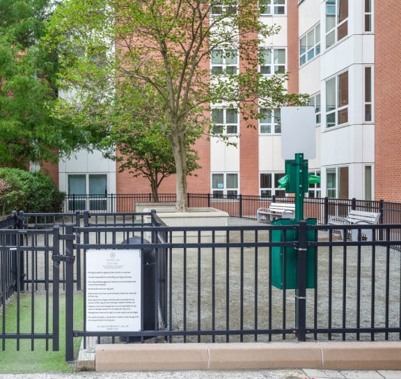 Quincy Apartments The Amelia